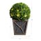 18" LED UV Resistant Boxwood Ball Topiary in Decorative Planter
